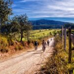 Esperienza E-Bike  tra le colline toscane