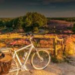 Esperienza E-Bike tra le colline toscane