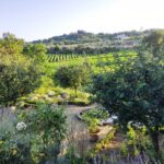 Yoga Gaerten und Kuche 07.06-14.06 mit Ulla & Martina Wesselmann -Lang